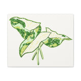 Marble Syngonium Canvas Print – Botanical Wall Art