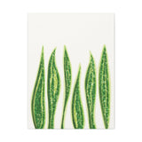 Snake Plant Canvas Print – Botanical Wall Art