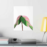 Pink Princess Philodendron Botanical Print – Unframed Wall Art