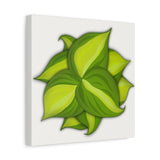 Philodendron Brasil Canvas Print – Botanical Wall Art