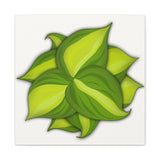 Philodendron Brasil Canvas Print – Botanical Wall Art