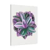 Tradescantia Nanouk Canvas Print – Botanical Wall Art