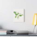 Marble Syngonium Canvas Print – Botanical Wall Art