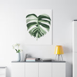 Melting Monstera Albo Canvas Print – Botanical Wall Art