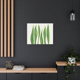 Snake Plant Canvas Print – Botanical Wall Art