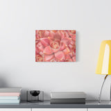 Graptosedum California Sunset Succulent Pattern Canvas Print – Botanical Wall Art