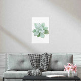 Pachyveria Haagei Succulent Botanical Print – Unframed Wall Art