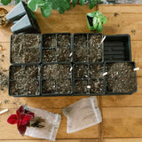 Seedling trays with soil, small plants, and gardening tools on a wooden surface 4 Cell Plug Tray Inserts
