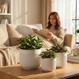 Woman reading a book on a couch with potted plants on a coffee table in the foreground. 3-Piece White Stoneware Planter Pot Set with Vertical Line Texture