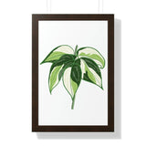 Philodendron Cream Splash Framed Print – Botanical Wall Art