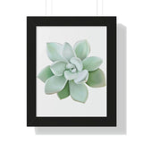 Pachyveria Haagei Succulent Framed Print – Botanical Wall Art