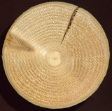 Wooden log with visible annual rings on a dark background