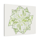 Snow Queen Pothos Canvas Print – Botanical Wall Art