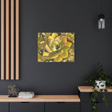 Noble Aeonium Succulent Pattern Canvas Print – Botanical Wall Art