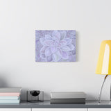 Graptopetalum Murasaki Succulent Pattern Canvas Print – Botanical Wall Art