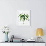 Philodendron Cream Splash Framed Print – Botanical Wall Art