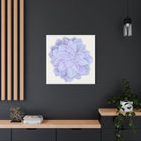 Graptopetalum Murasaki Succulent Canvas Print – Botanical Wall Art