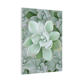 Pachyveria Haagei Succulent Pattern Canvas Print – Botanical Wall Art