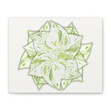 Snow Queen Pothos Canvas Print – Botanical Wall Art