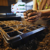Person holding soil over a 50 Cell Seed Planting Trays