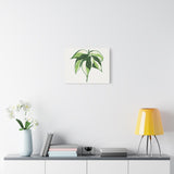 Philodendron Cream Splash Canvas Print – Botanical Wall Art