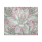 Echeveria Violet Queen Succulent Pattern Canvas Print – Botanical Wall Art