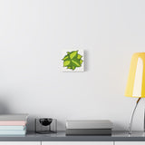 Philodendron Brasil Canvas Print – Botanical Wall Art