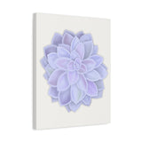 Graptopetalum Murasaki Succulent Canvas Print – Botanical Wall Art