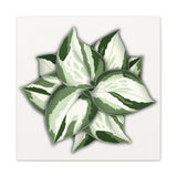 Manjula Pothos Canvas Print – Botanical Wall Art