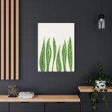 Snake Plant Canvas Print – Botanical Wall Art
