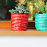 Succulent Basket Planter