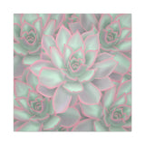 Echeveria Violet Queen Succulent Pattern Canvas Print – Botanical Wall Art