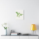 Marble Syngonium Canvas Print – Botanical Wall Art