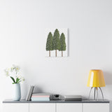 Ponderosa Pine Canvas Print – Wall Art