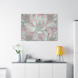 Echeveria Violet Queen Succulent Pattern Canvas Print – Botanical Wall Art