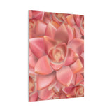 Graptosedum California Sunset Succulent Pattern Canvas Print – Botanical Wall Art
