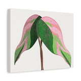 Pink Princess Philodendron Canvas Print – Botanical Wall Art