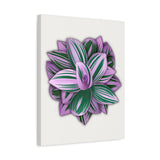 Tradescantia Nanouk Canvas Print – Botanical Wall Art