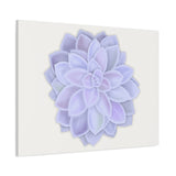 Graptopetalum Murasaki Succulent Canvas Print – Botanical Wall Art