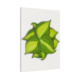 Philodendron Brasil Canvas Print – Botanical Wall Art