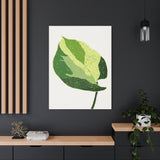 Manjula Pothos Illustrated Canvas Print – Botanical Wall Art