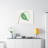 Monstera Albo Canvas Print – Botanical Wall Art