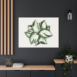 Manjula Pothos Canvas Print – Botanical Wall Art