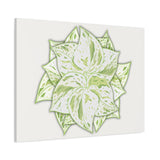 Snow Queen Pothos Canvas Print – Botanical Wall Art