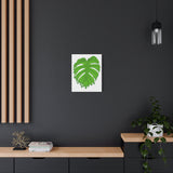 Melting Monstera Canvas Print – Botanical Wall Art