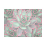 Echeveria Violet Queen Succulent Pattern Canvas Print – Botanical Wall Art