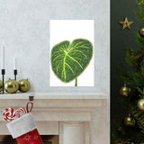 Philodendron Gloriosum Botanical Print – Unframed Wall Art