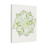 Snow Queen Pothos Canvas Print – Botanical Wall Art