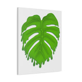Melting Monstera Canvas Print – Botanical Wall Art