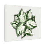 Manjula Pothos Canvas Print – Botanical Wall Art